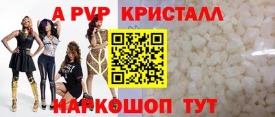молекула духа Тверь