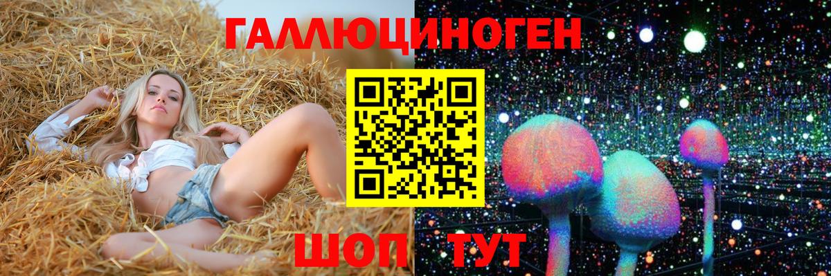 Галлюциногенные грибы мухоморы Орёл