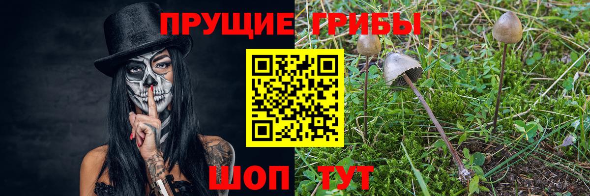 Галлюциногенные грибы MAGIC MUSHROOMS  Вход с VPN  Орёл 